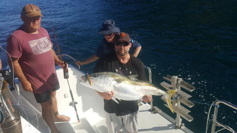 Beauty kingi caught using a 300 gram Big Tezza vertical falling jig