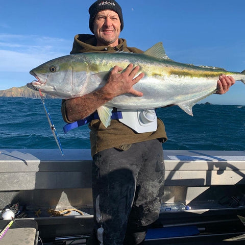 Beauty kingi on the big Lofty - OK.fish