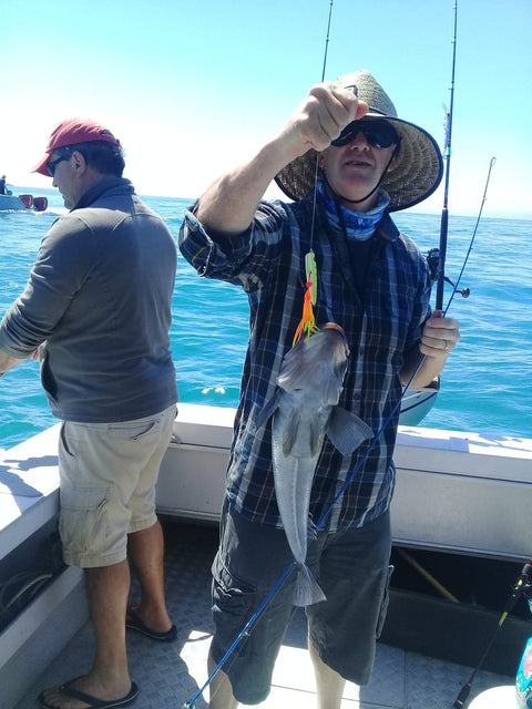 Captian Greg the Blue Cod slayer - OK.fish