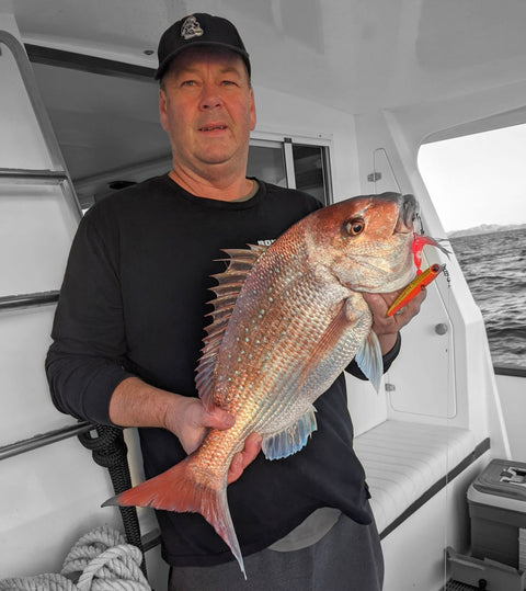 Good ole orange coloured Gravy Train still producing the goods - OK.fish