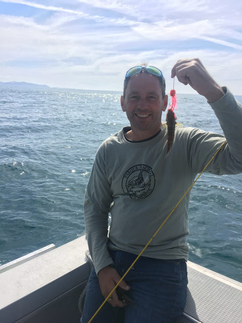 Gosh thats a tiny fish!