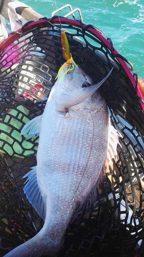 Maru's the Man!! Great day out on the Slow Jigs - OK.fish