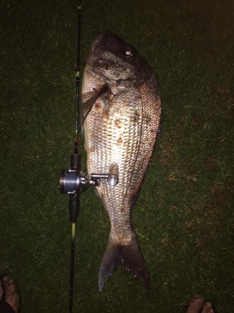 Nice big snapper caught on an OK.Fish Benda-2 and HD200 Reel - OK.fish