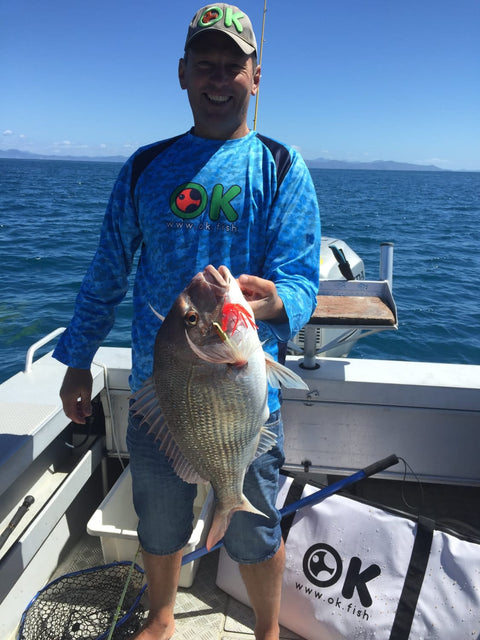 Nice Wellington snapper - OK.fish