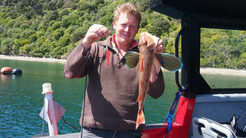 Phil with a nice Marlborough Sounds gurnard