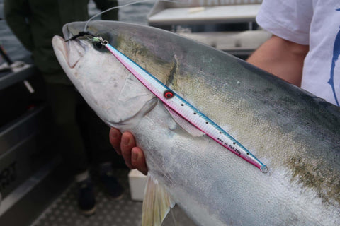 The big lofty falling jig still doing the damage. - OK.fish