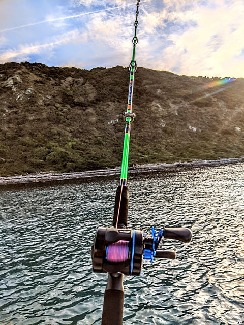 The Fyba GP is now in stock - OK.fish