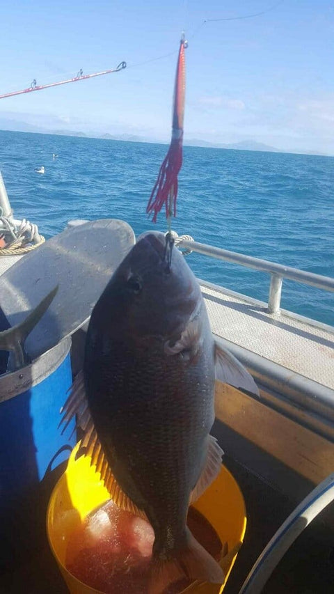 The Squidward working well on Seabird Charters - OK.fish