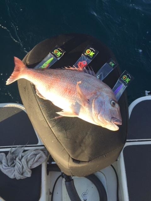 John's snapper - OK.fish