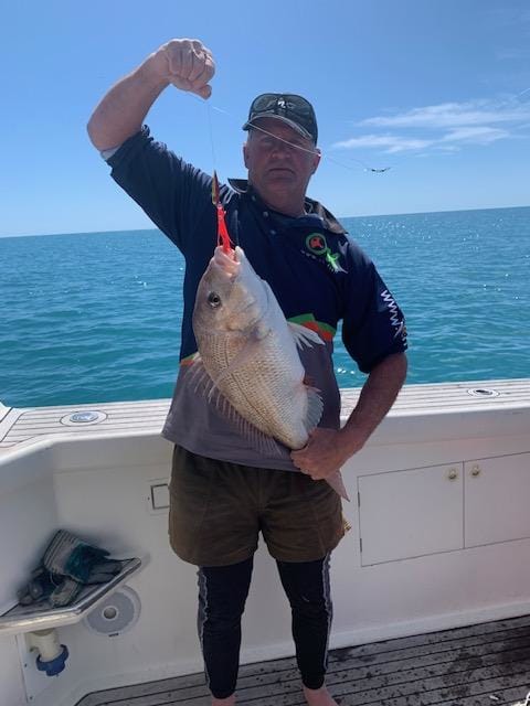 Nice south island snapper - OK.fish