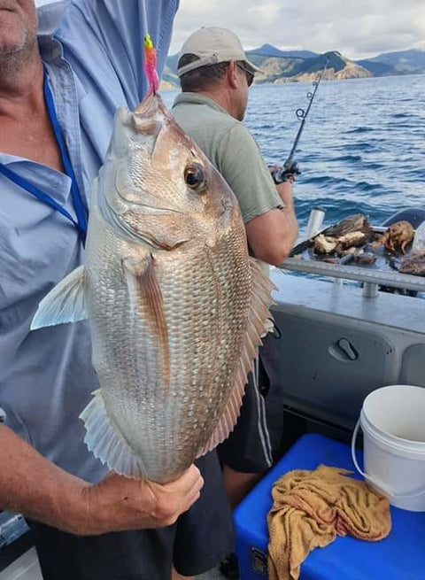 Toddy with a nice snapper caught on softbait - OK.fish
