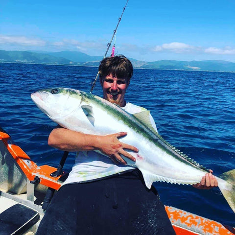 Yet another horse of a Kingi - OK.fish