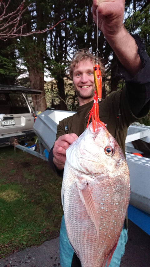 Yet another nice snapper on the gravy train fire tiger - OK.fish