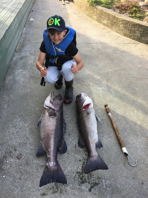 Young Mitch OK.fish - OK.fish