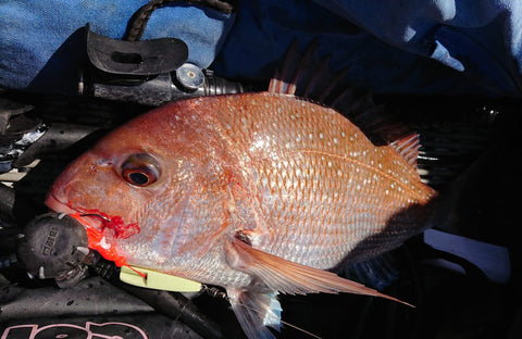 Micro jigs
